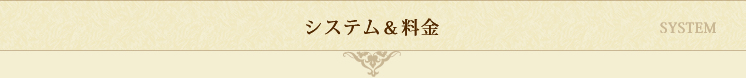 メンズエステ Marry's-マリーズ-:システム&料金